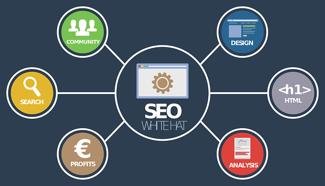 Popular WordPress plugins to improve your website SEO